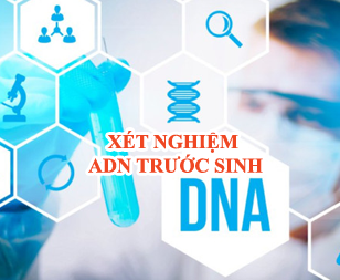 Xét nghiệm ADN trước sinh-111 Xét nghiệm ADN GENPRO, Trang chủ ADN GENPRO
